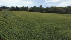 Photo 3- click for photo gallery